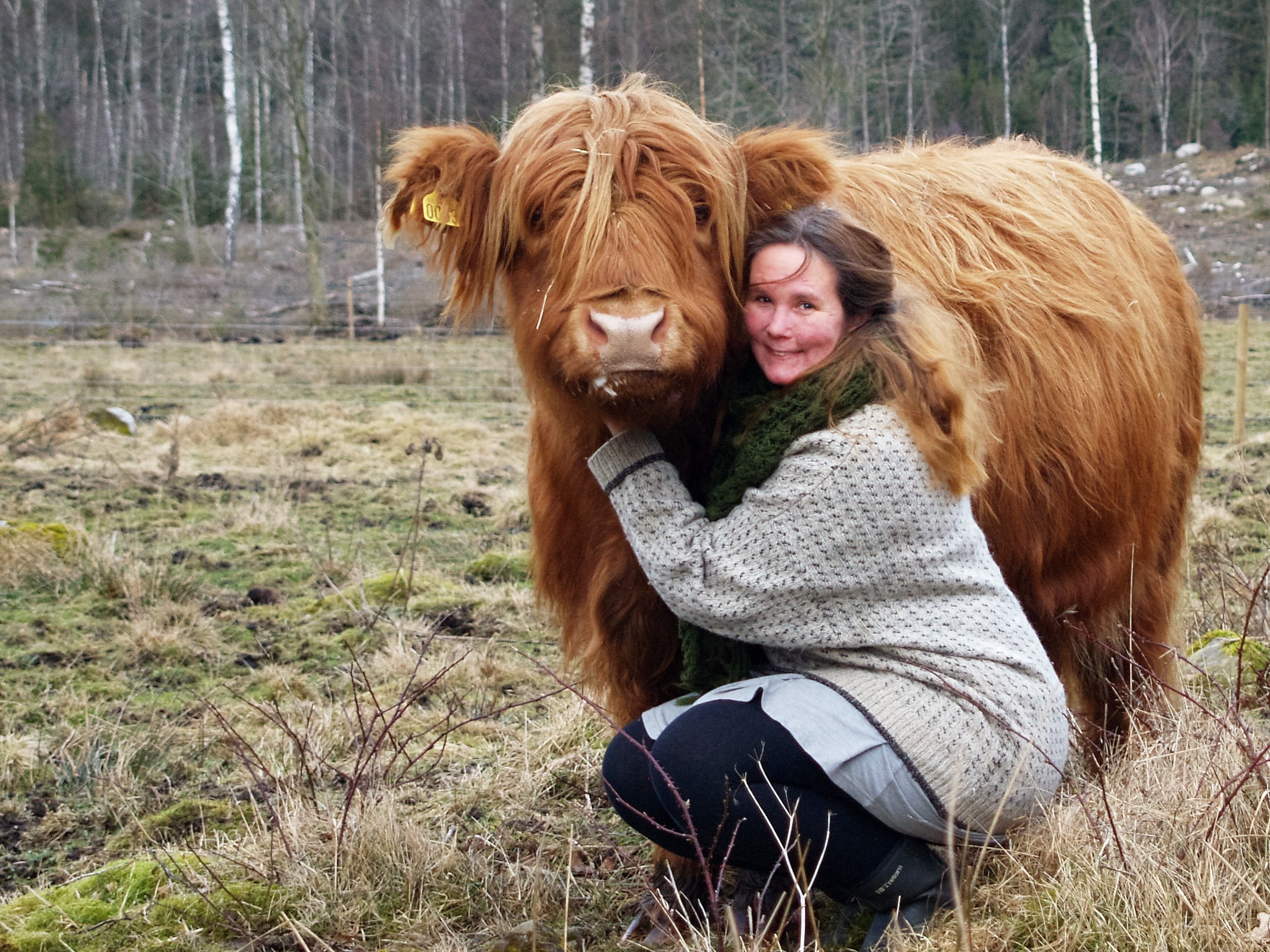 Karin Linderoth Författare